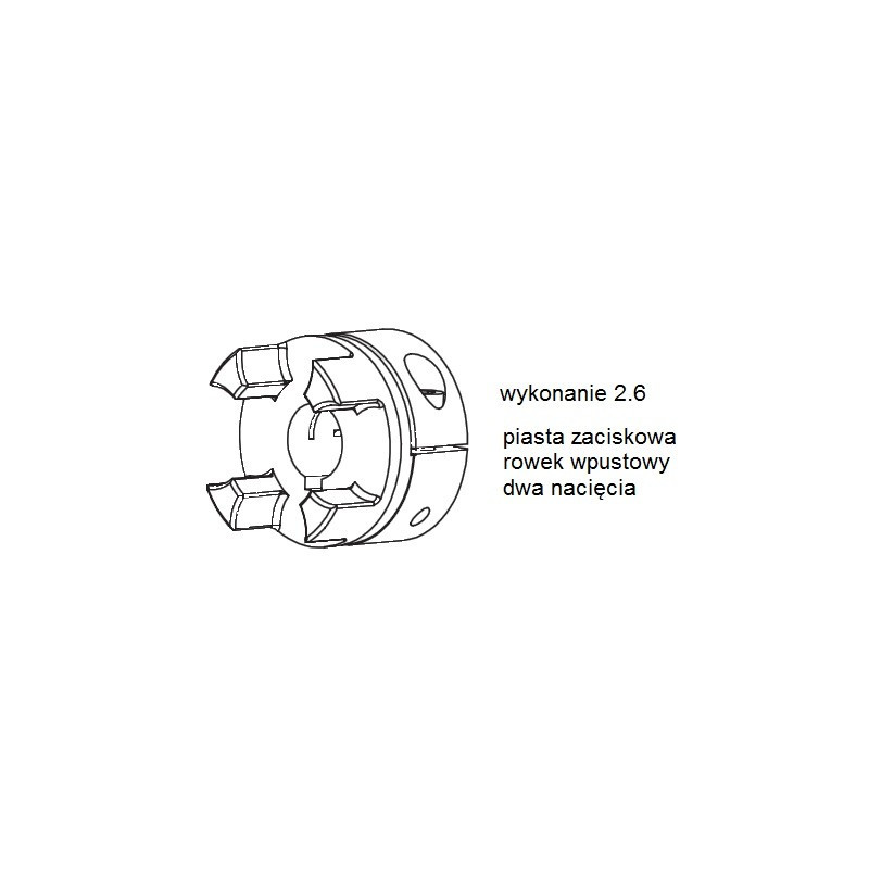 Piasta kłowa ROTEX GS24 fi19 wyk. 2.6