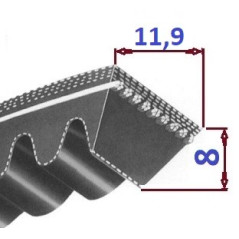 Pas klinowy AVX11,9 675 OPTIBELT