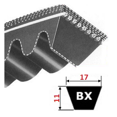 Pas klinowy BX2431 Lp, X17x2431, Conti